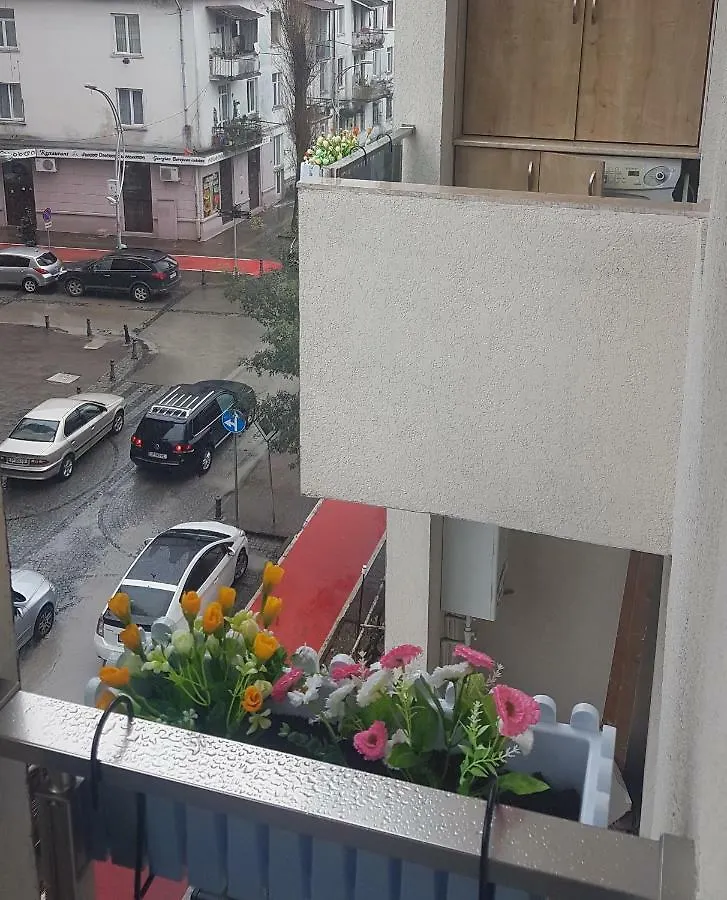 David Apartament باتومي
